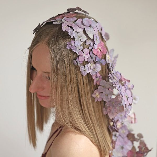 Schleier aus getrockneten violetten Hortensienblüten.
