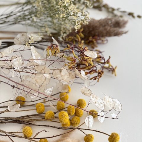 Ungefärbte Trockenblumen Trockenblumen in gelb, creme und braun Tönen. Alles ungefärbte Trockenblumen.