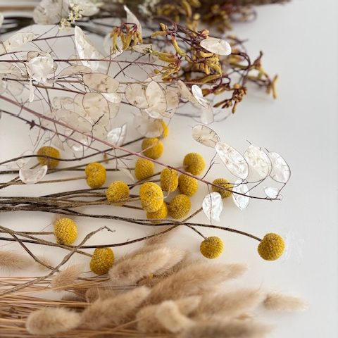 Trockenblumen in gelb creme und beige Tönen. Hasenpuschelgras, Trommelschläger und Kängurupfötchen.
