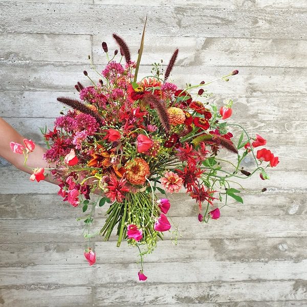 Blumenstrauß in verschiedenen rot Tönen. Vor grauer Wand.